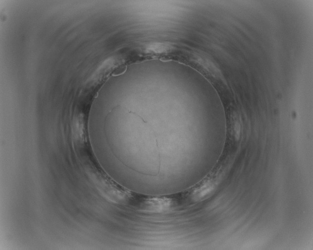 X0000072500328200607141136