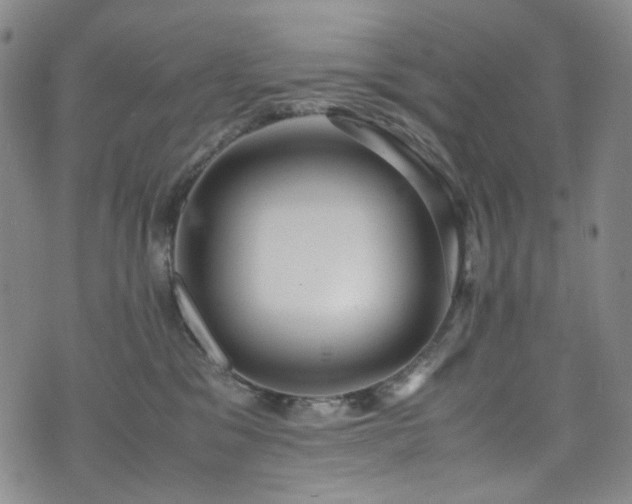 X0000072500329200607141136