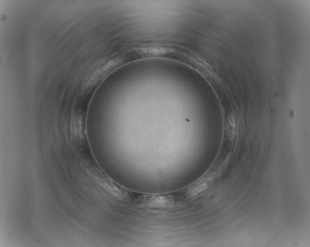 X0000072500330200607141136