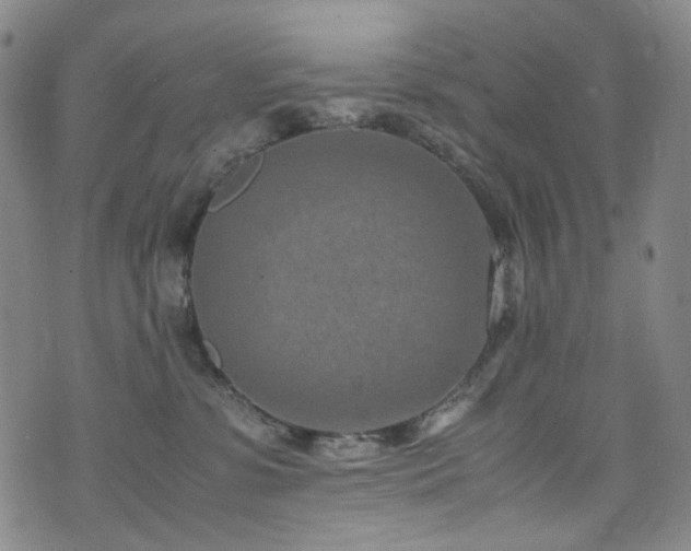 X0000072500331200607141136