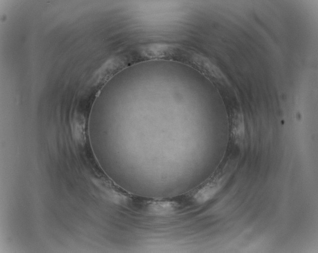 X0000072500332200607141136