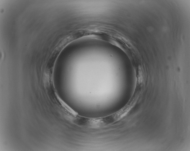 X0000072500333200607141136