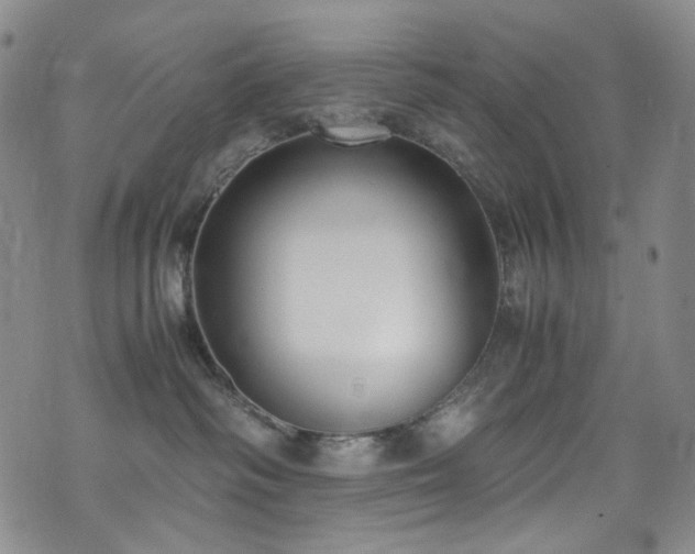 X0000072500334200607141136