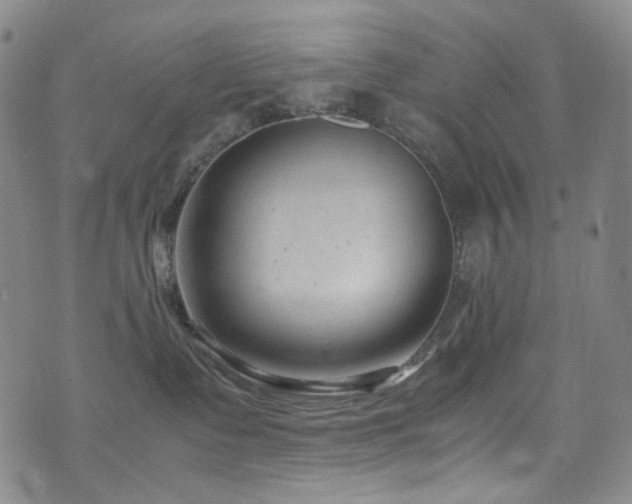 X0000072500335200607141136