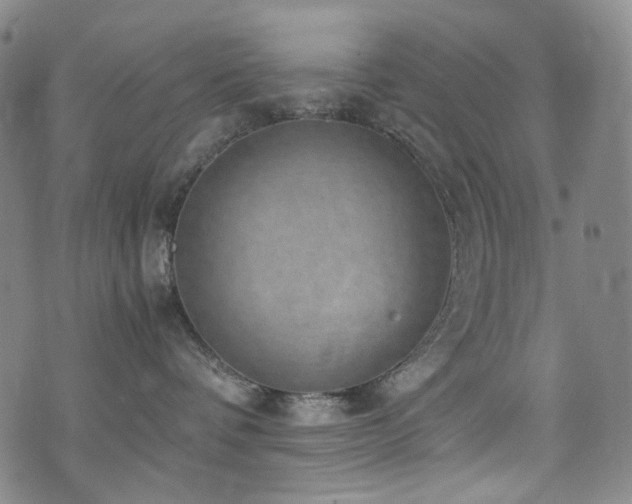 X0000072500336200607141136