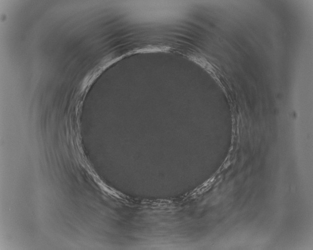 X0000072500337200607141135