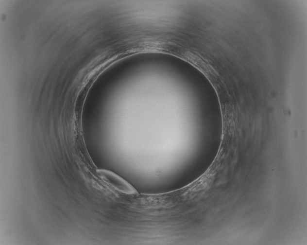 X0000072500338200607141135