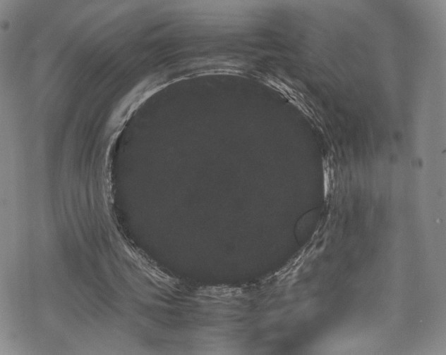 X0000072500339200607141135