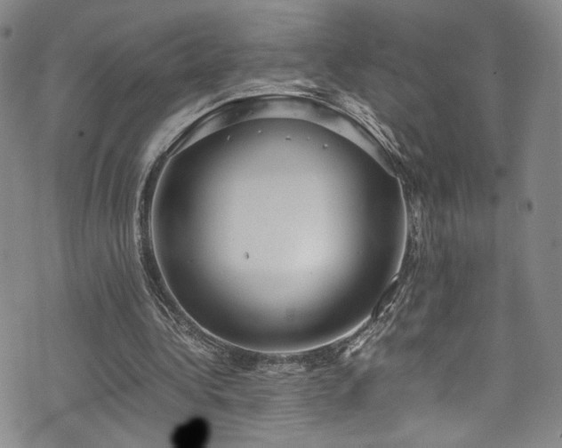 X0000072500340200607141135