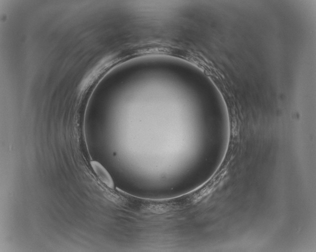 X0000072500341200607141135