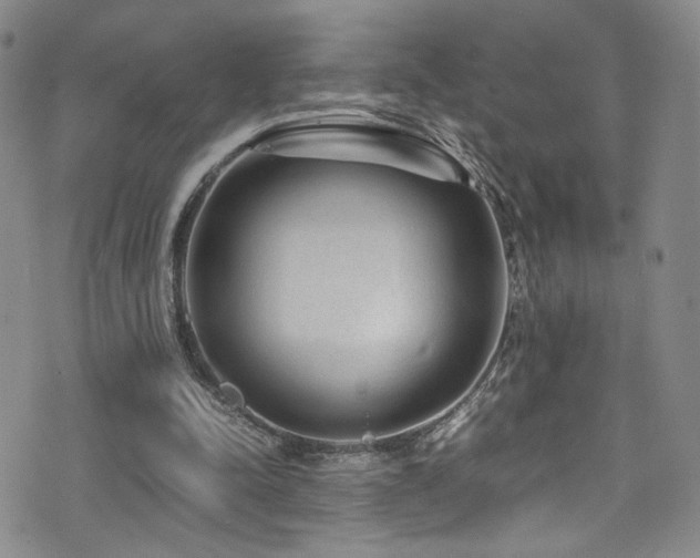 X0000072500342200607141135