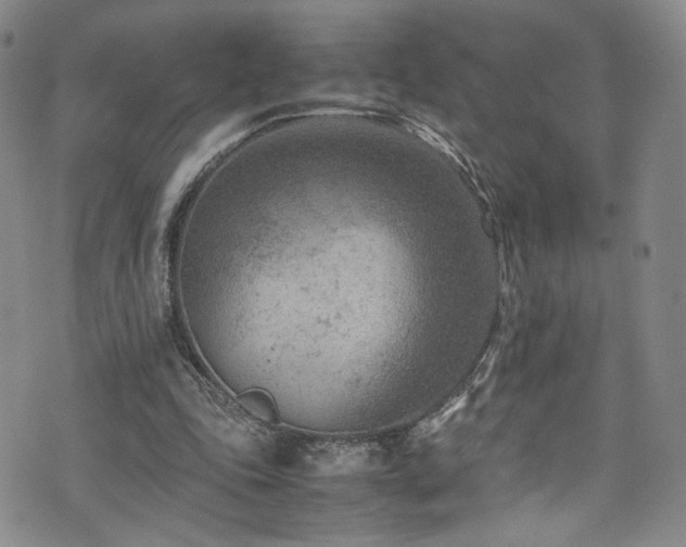 X0000072500343200607141135