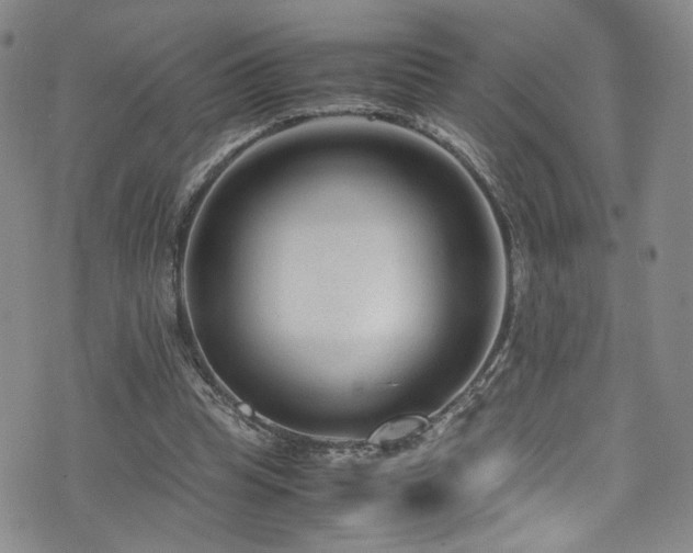 X0000072500345200607141135