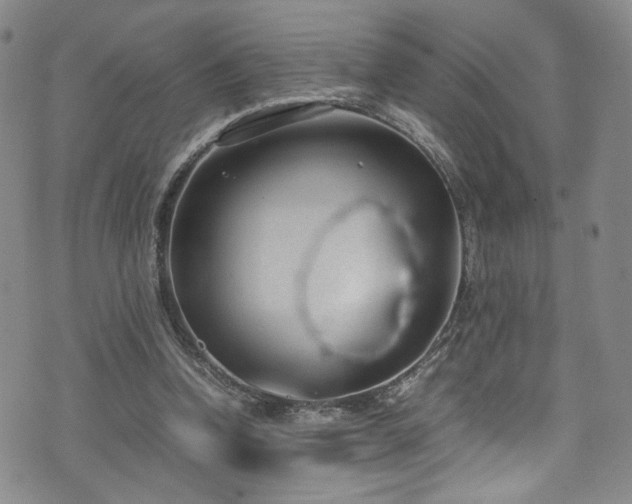 X0000072500346200607141135