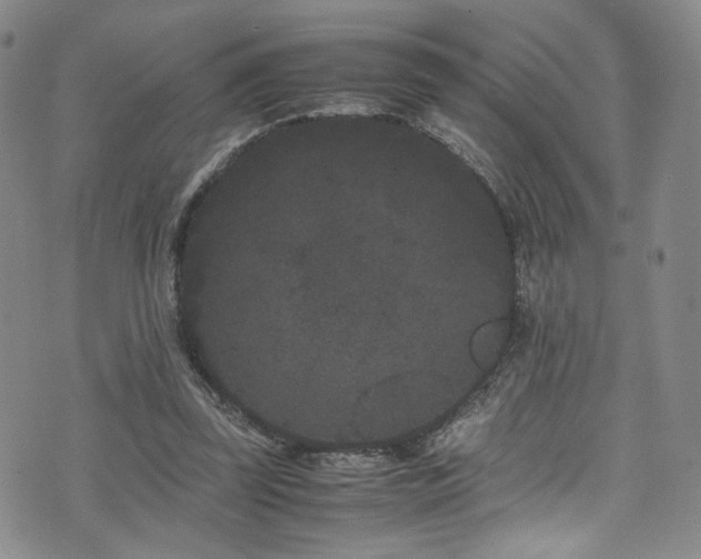 X0000072500347200607141135