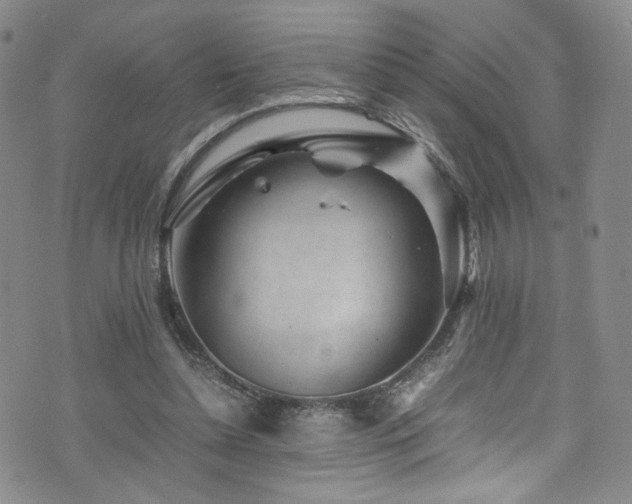 X0000072500348200607141135