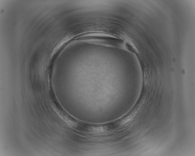 X0000072500349200607141135