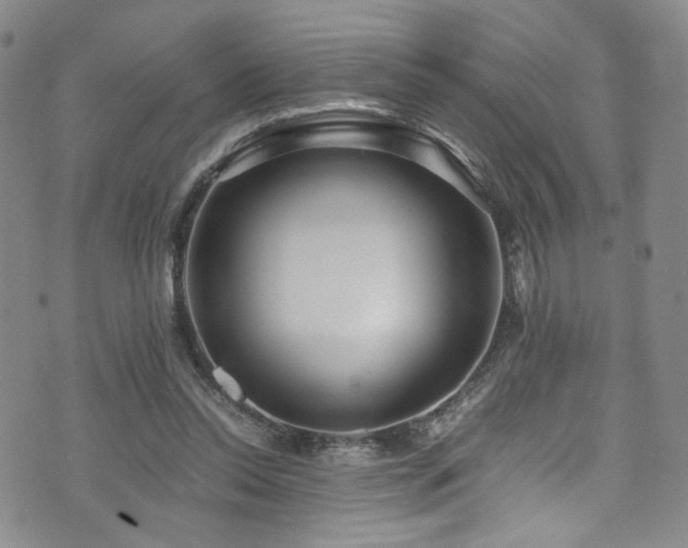 X0000072500350200607141135