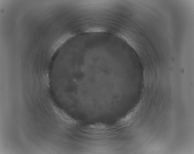 X0000072500351200607141135