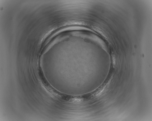 X0000072500352200607141135