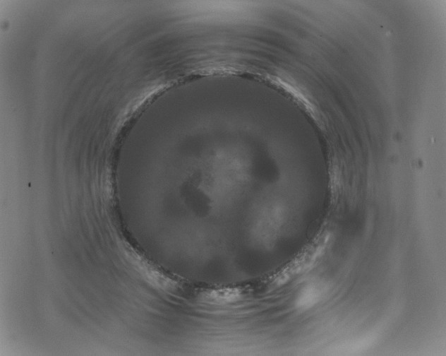 X0000072500353200607141135