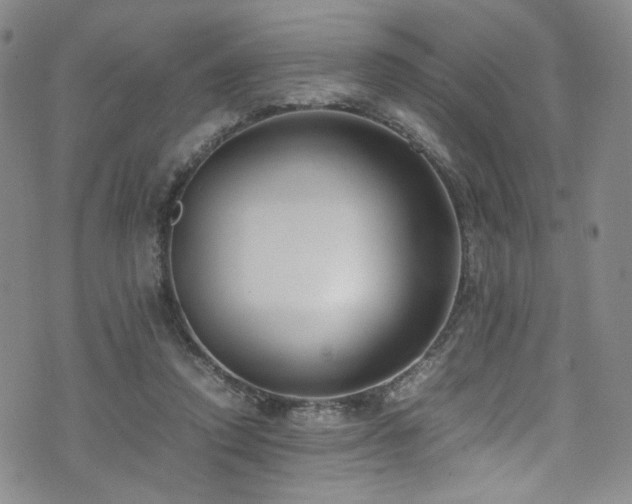 X0000072500354200607141135