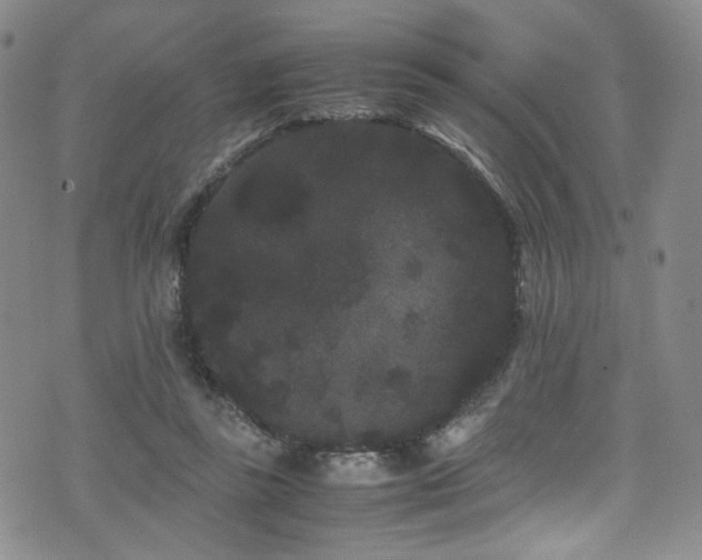 X0000072500355200607141135