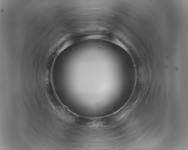 X0000072500356200607141135