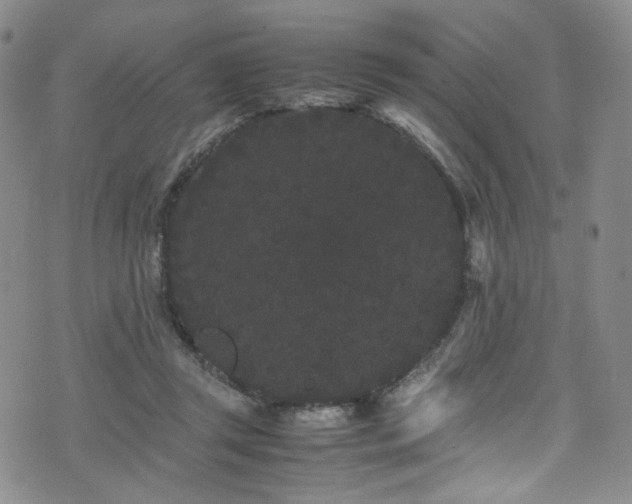 X0000072500357200607141135