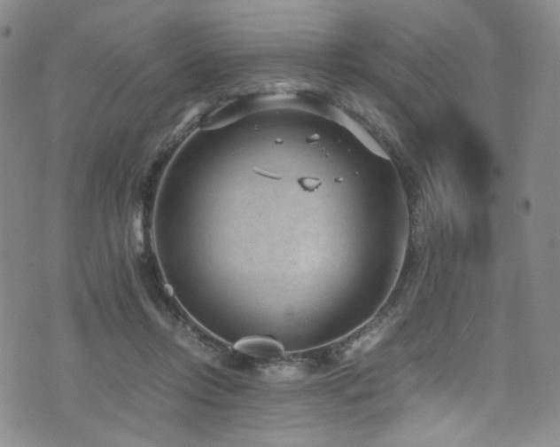 X0000072500358200607141135