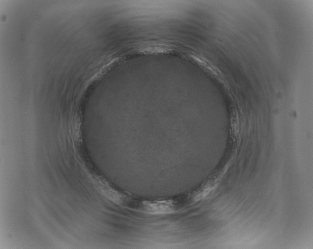 X0000072500359200607141135