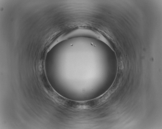 X0000072500360200607141135