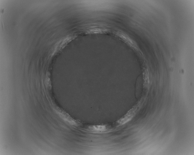 X0000072500361200607141135