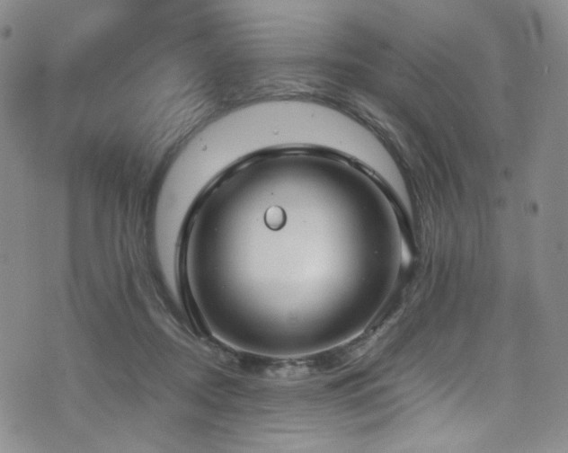 X0000072500362200607141135