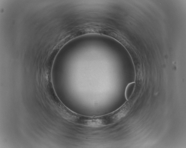 X0000072500363200607141135