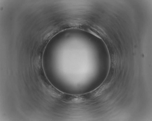 X0000072500364200607141135