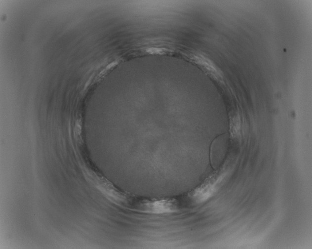 X0000072500365200607141135