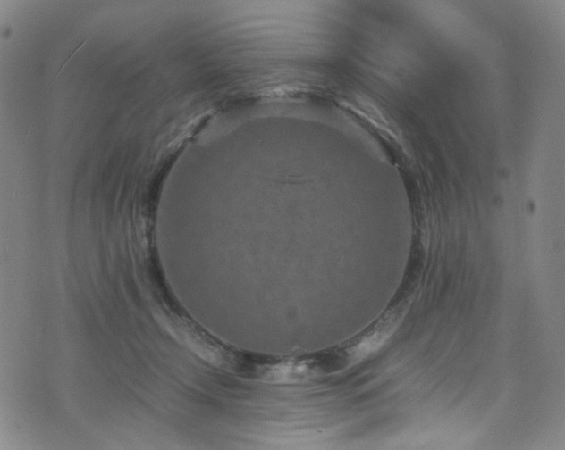 X0000072500366200607141135