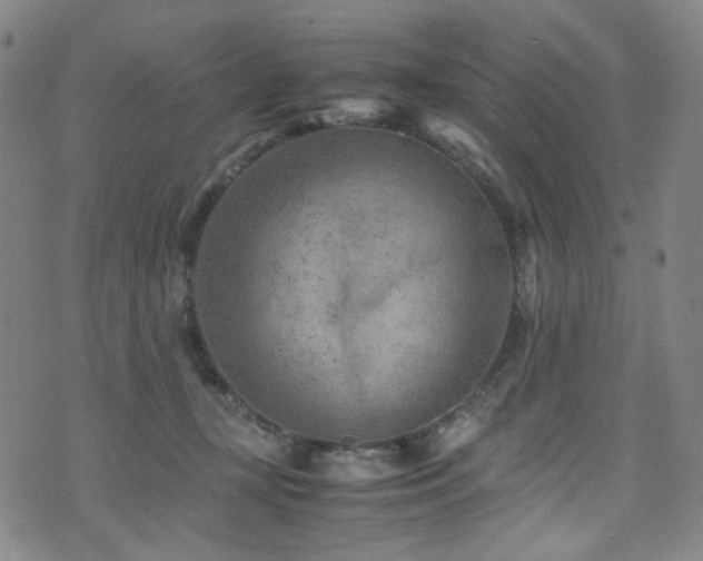 X0000072500367200607141135