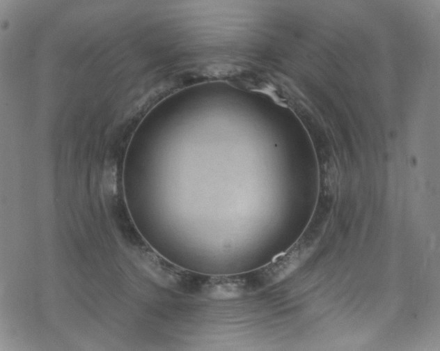 X0000072500368200607141135