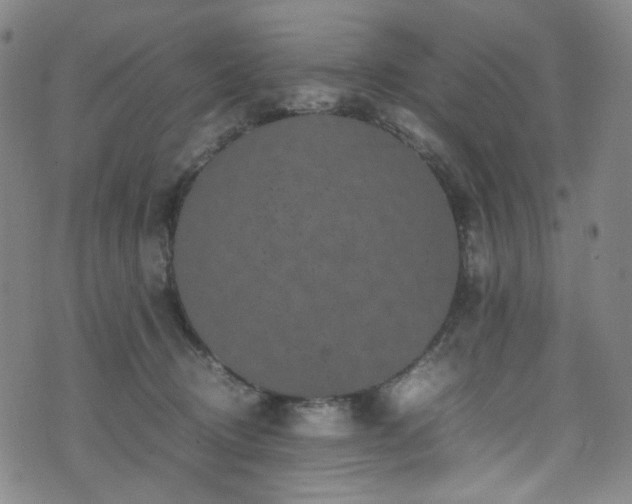 X0000072500370200607141135