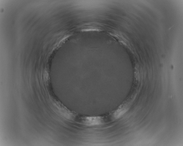 X0000072500371200607141135