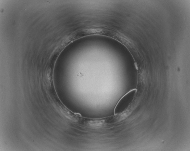 X0000072500373200607141135