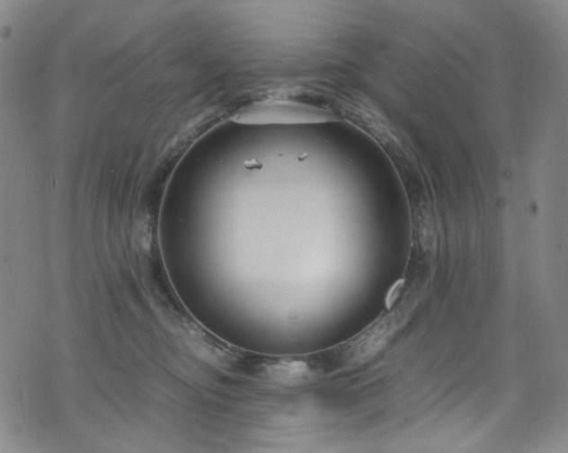 X0000072500374200607141135