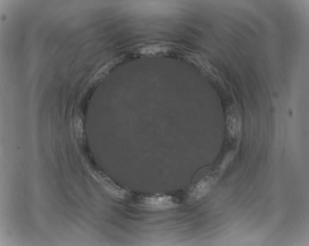 X0000072500375200607141135