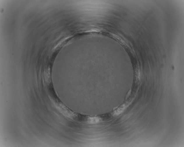 X0000072500376200607141135