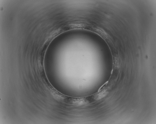 X0000072500377200607141135