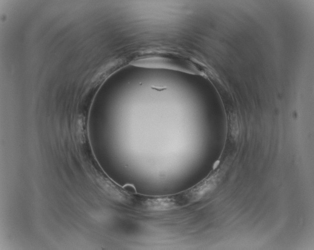 X0000072500378200607141135