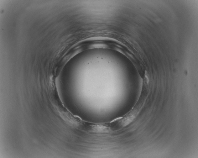 X0000072500380200607141135