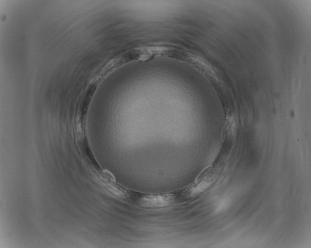 X0000072500381200607141135